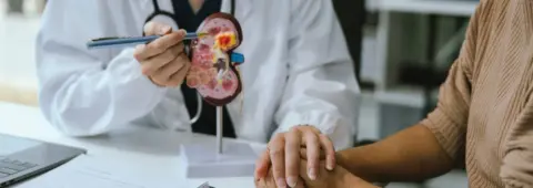Take Care of Your Kidney Health Today